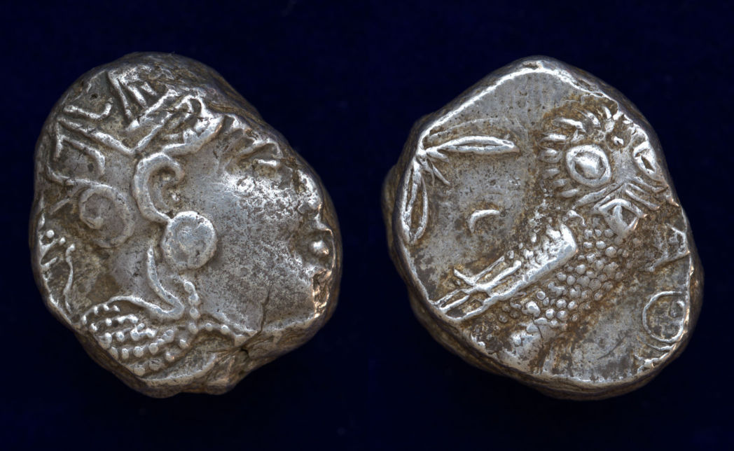 Athens Owl Sear 2547.jpg