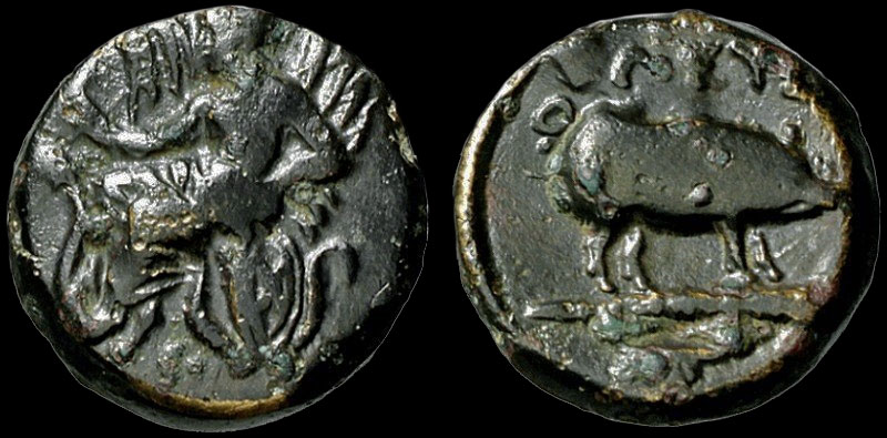 ATTICA-Eleusis-Tripto-Pig3.jpg