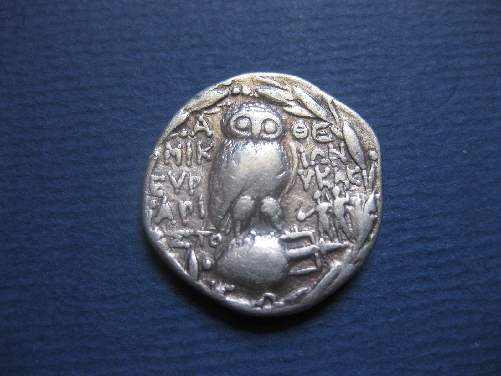 attica owl.jpg