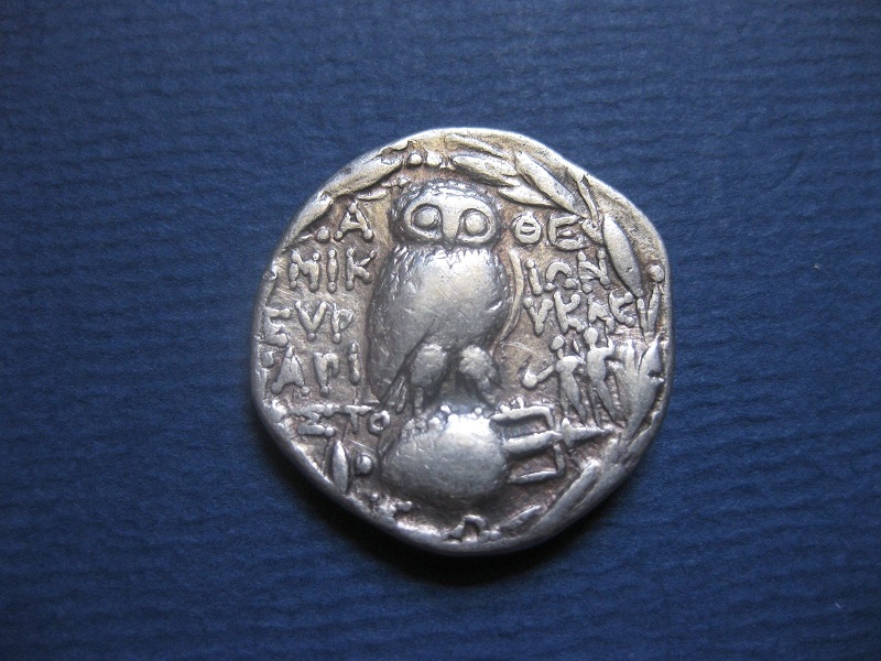 attica owl.jpg