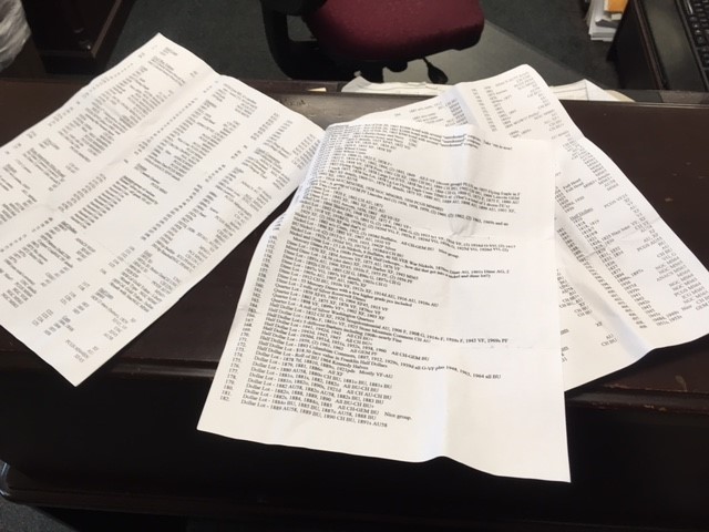 auction sheet.jpg