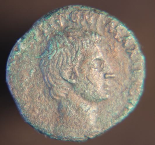 Augustus 001_opt.jpg