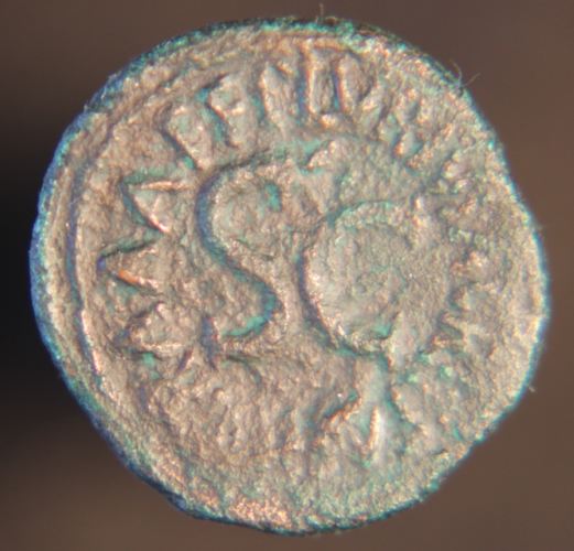 Augustus 002_opt.jpg