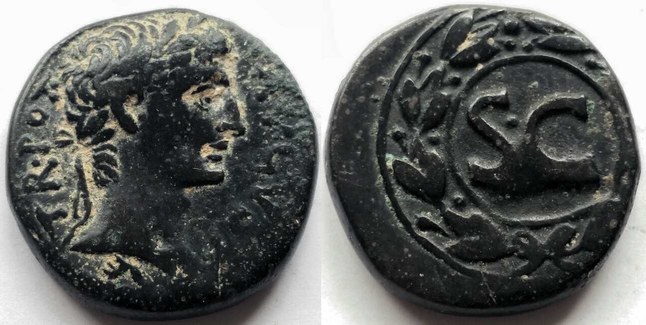 Augustus AE As antioch.jpg
