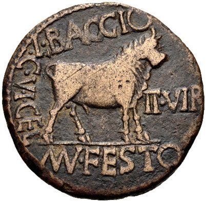 Augustus AE As Celsa Bull b.jpg