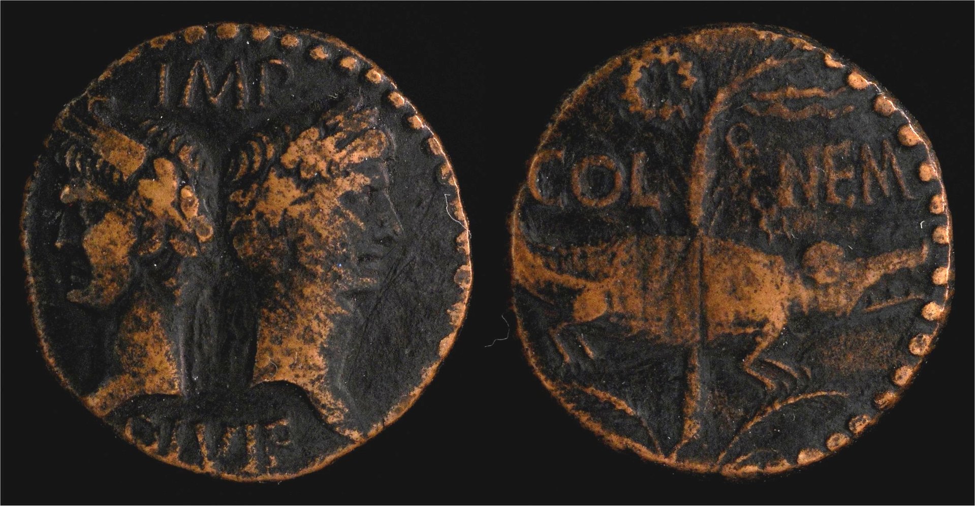 Augustus AE As Sear 1730.jpg
