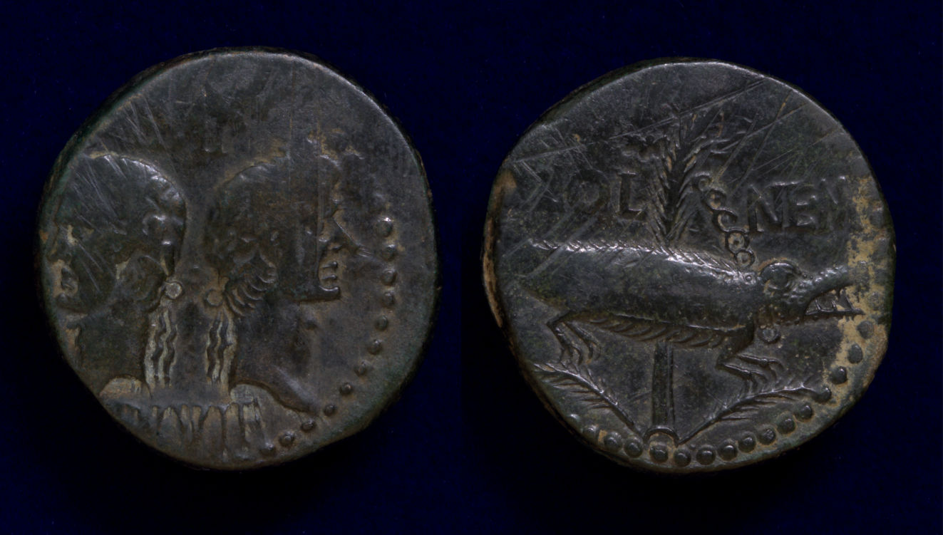 augustus Agrippa Col Nem.jpg
