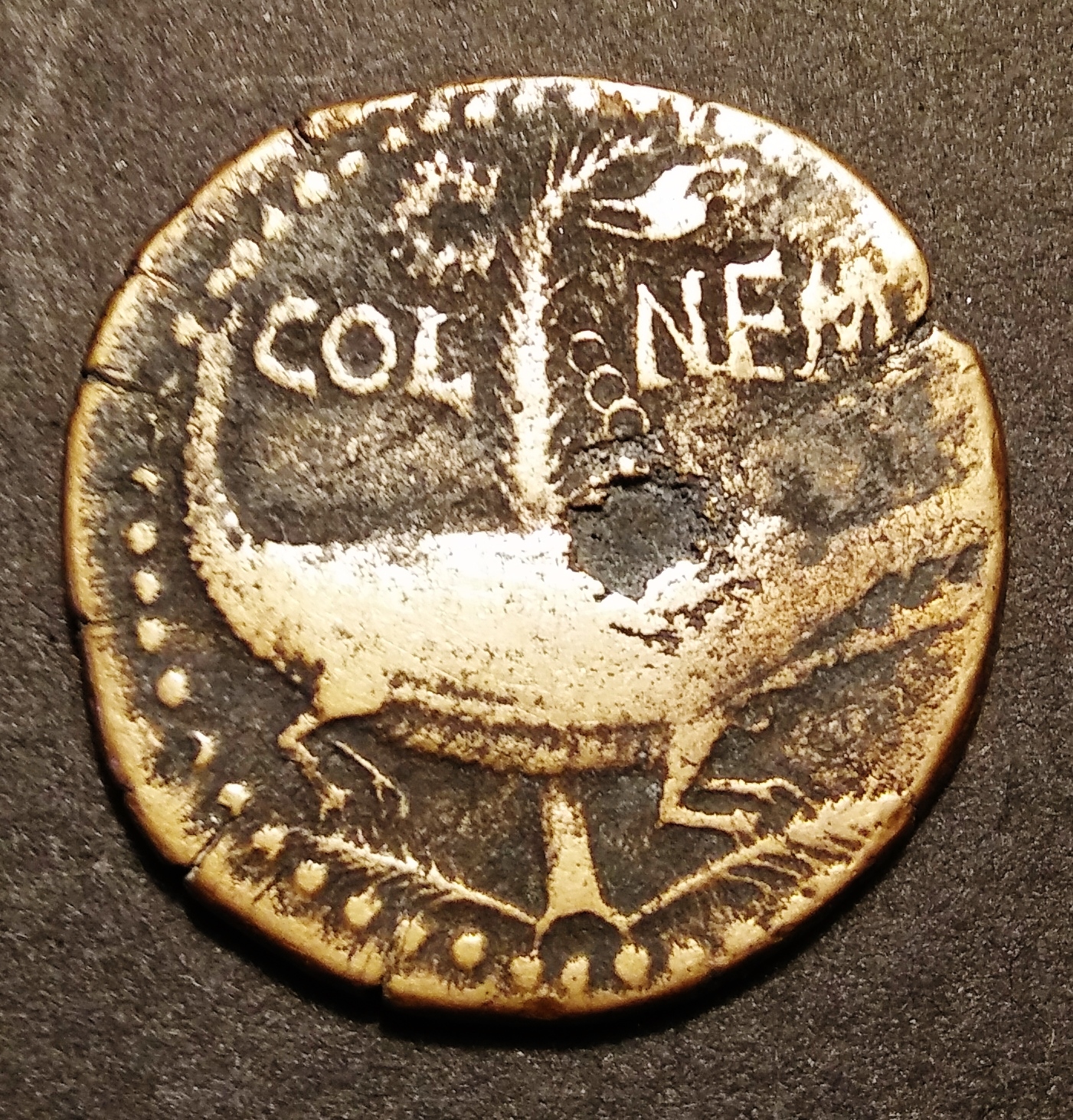Augustus-Agrippa COL NEM Rev 1.jpg
