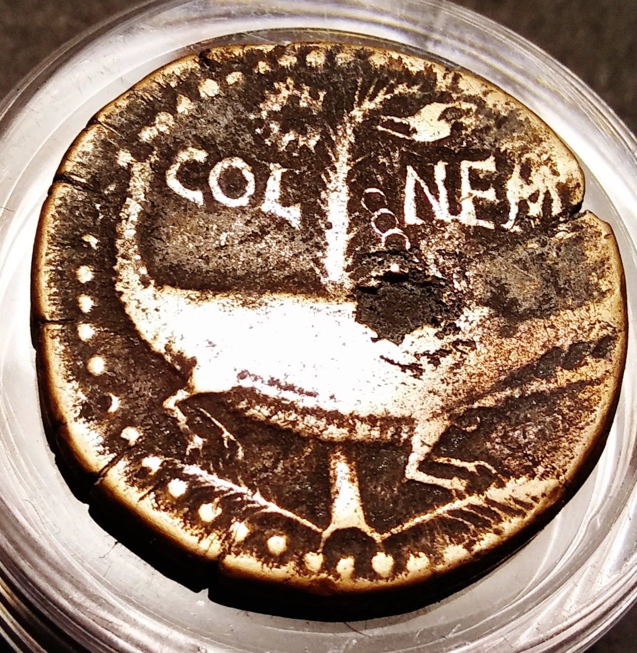 Augustus-Agrippa COL NEM Rev 3.jpg