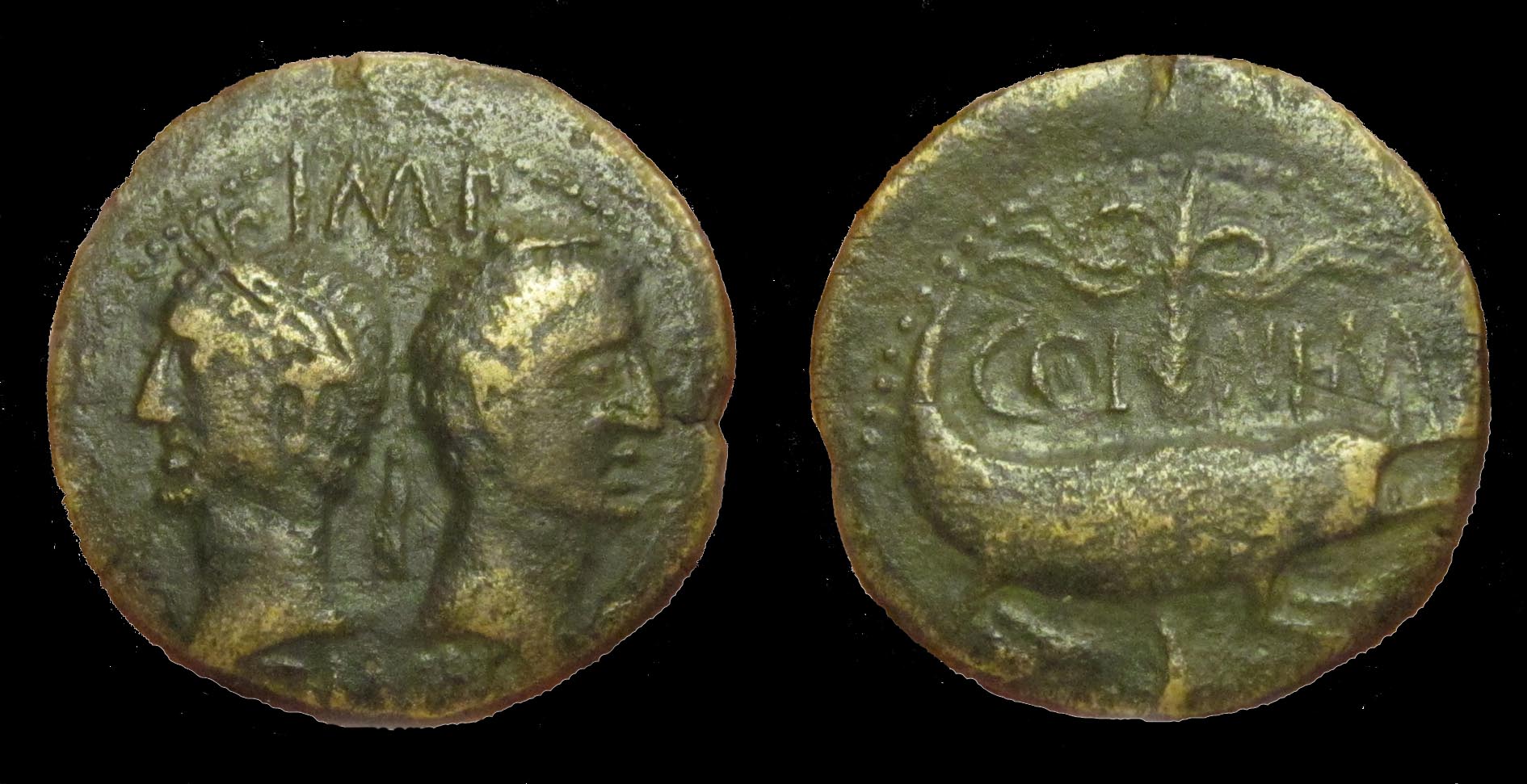 Augustus Agrippa Crocodile Collage BK.jpg