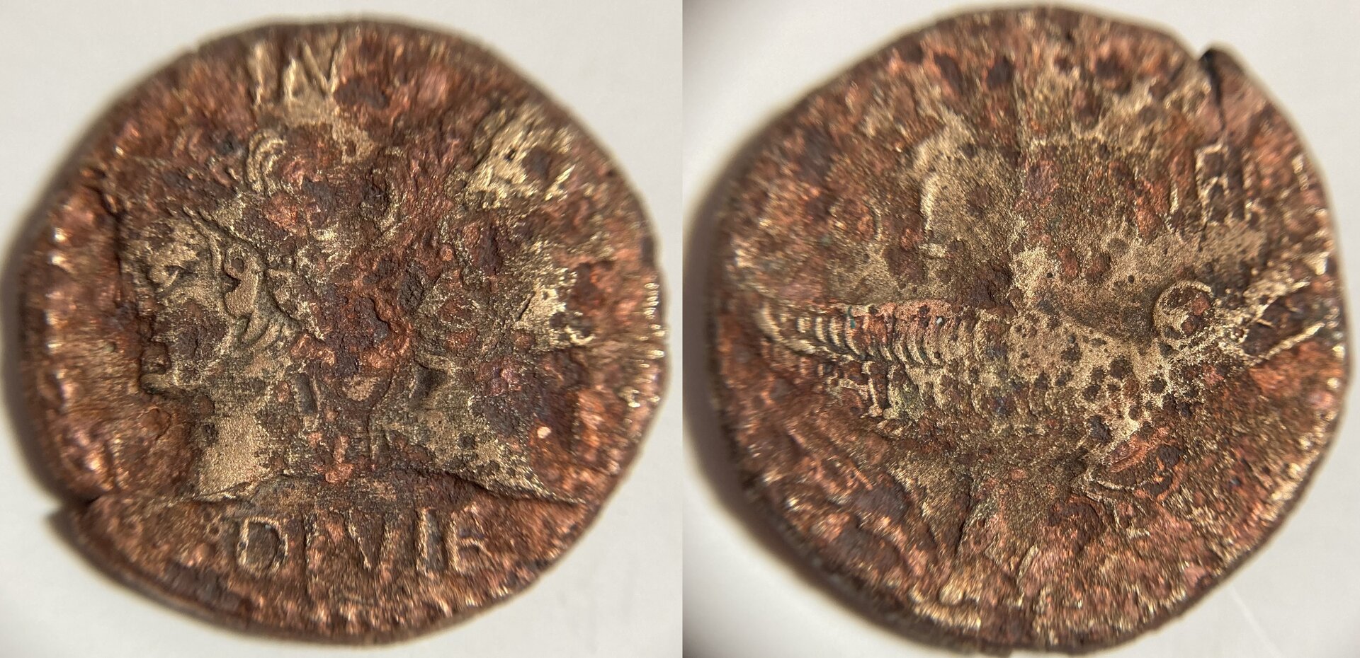 Augustus Agrippa Dupondius.JPG