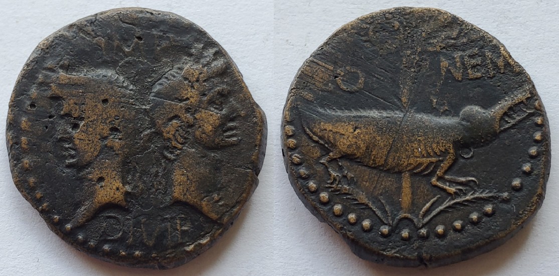 Augustus Agrippa Nemausus gaul croc.jpg