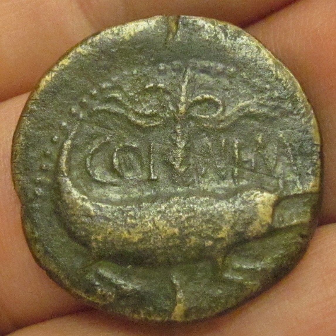 Augustus and Agripa Rev.jpg