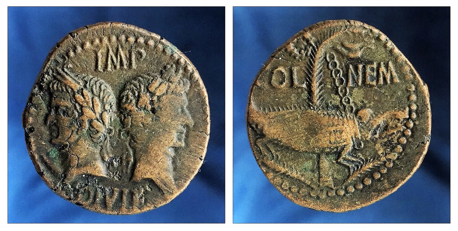 AUGUSTUS AND AGRIPPA COL NEM 2.jpg