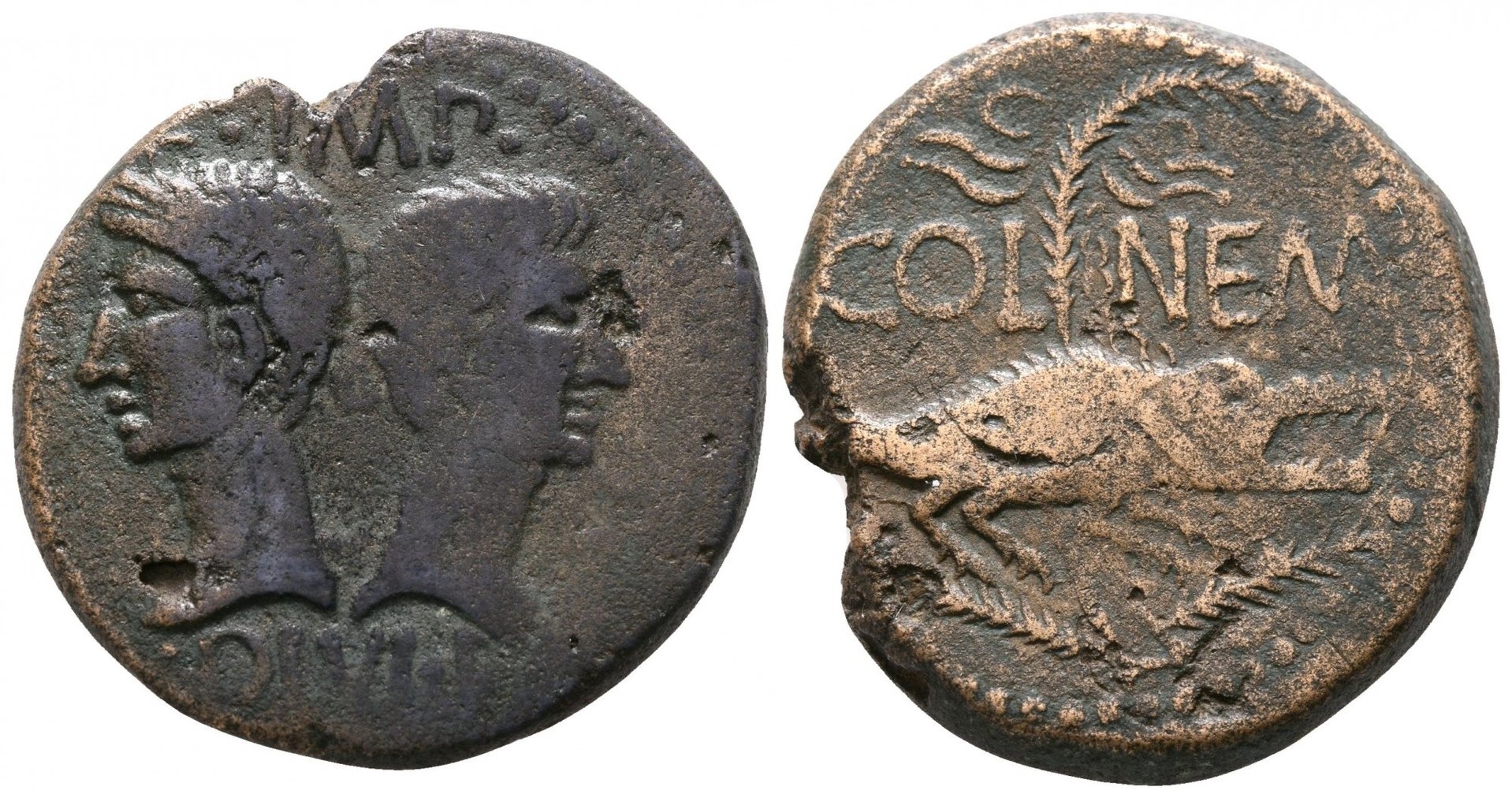 Augustus and Agrippa Nemausus Crocodile.jpg