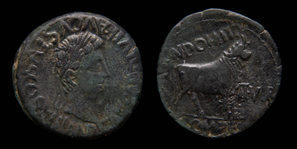 augustus celse 3.jpg