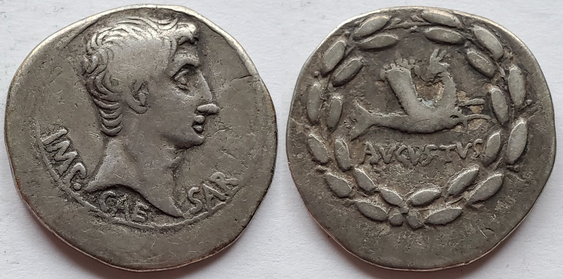Augustus cistophoric tetradrachm hippocamp.jpg