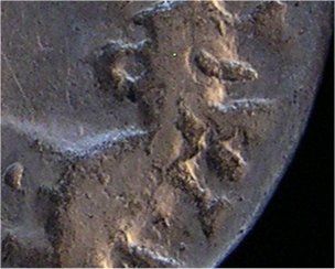 Augustus close up.jpg