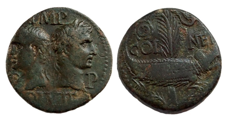 augustus crocodile400.jpg