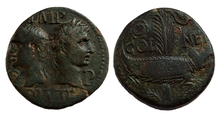 augustus crocodile400.jpg