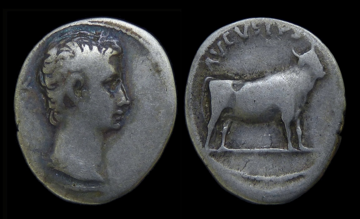 Augustus - Denarius Bull 3465.jpg