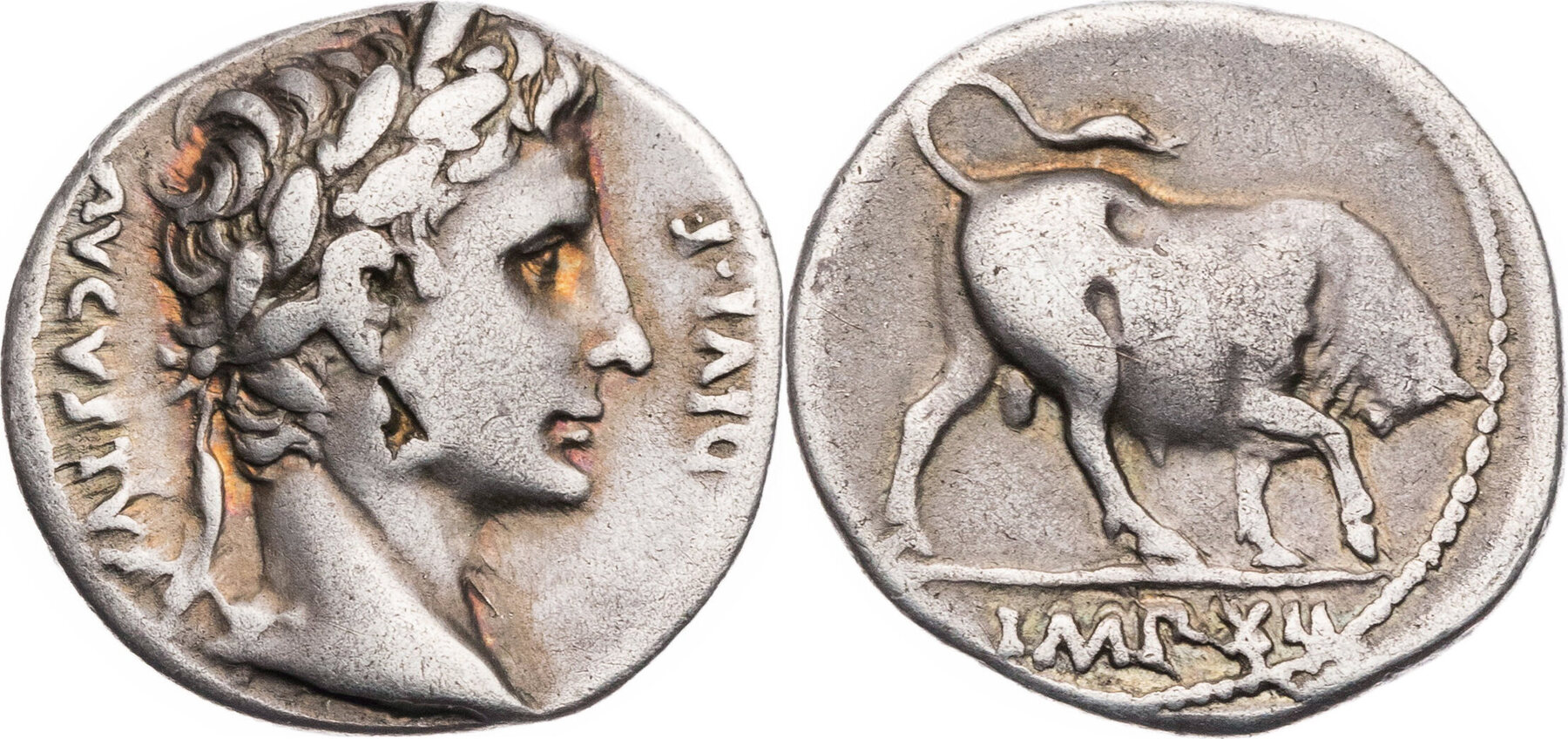 Augustus denarius - bull reverse Kolner Munzkabinett.jpg