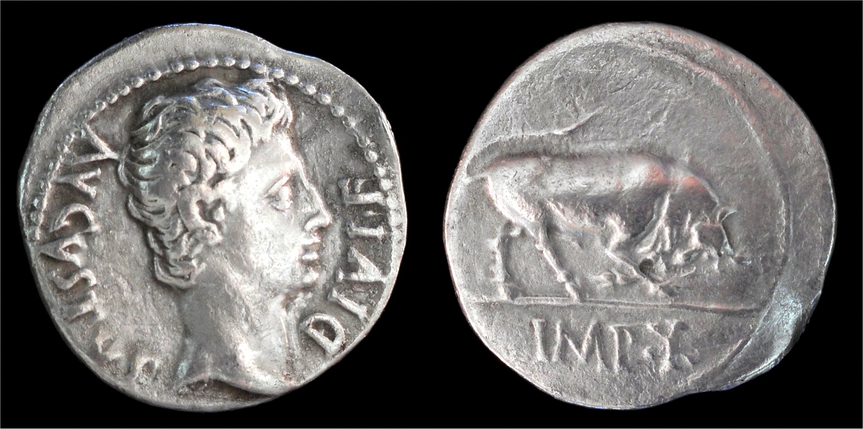 Augustus denarius Bull RSC 137.jpg