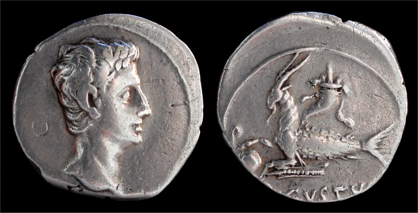 Augustus denarius Capricorn RSC 25.jpg