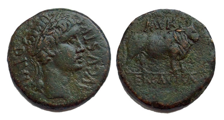 augustus ercaiva400.jpg