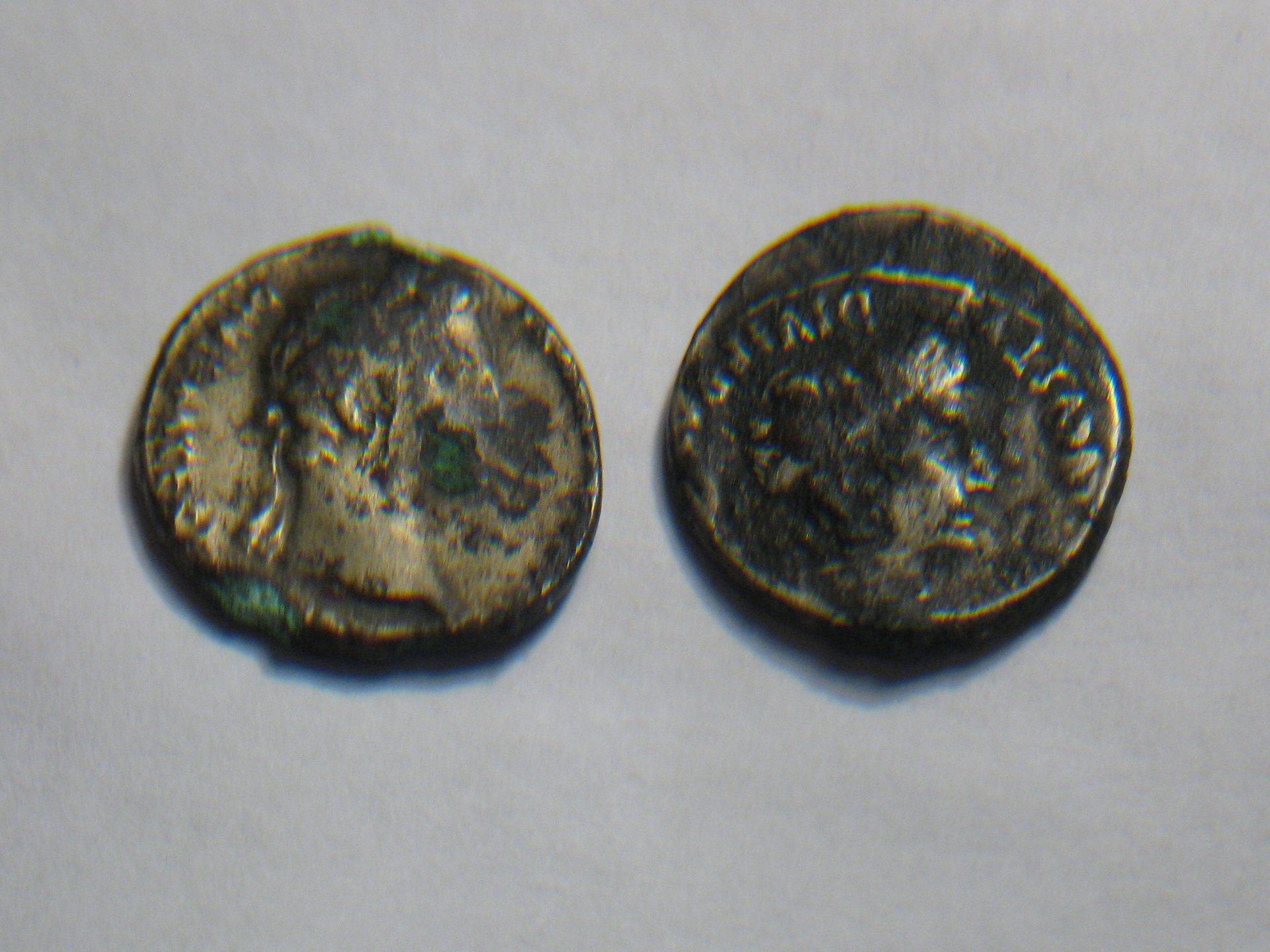 Augustus fourees 001.JPG