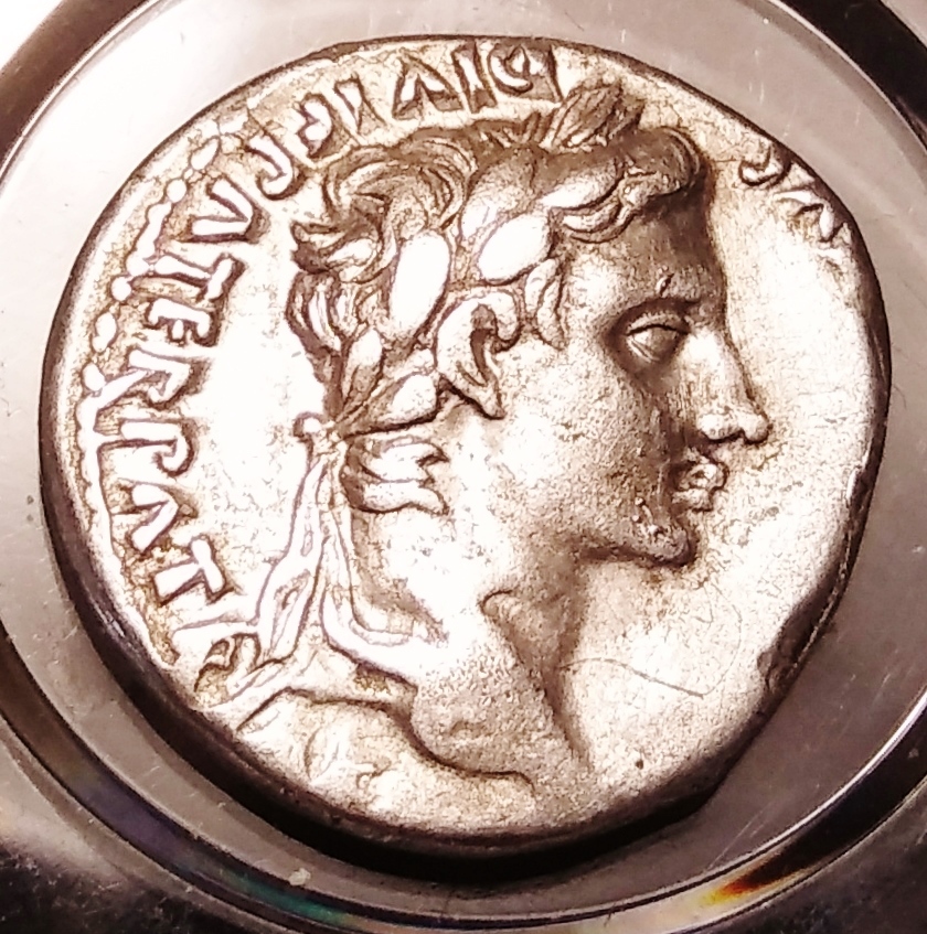 Augustus- Gaius & Lucius O1.jpg