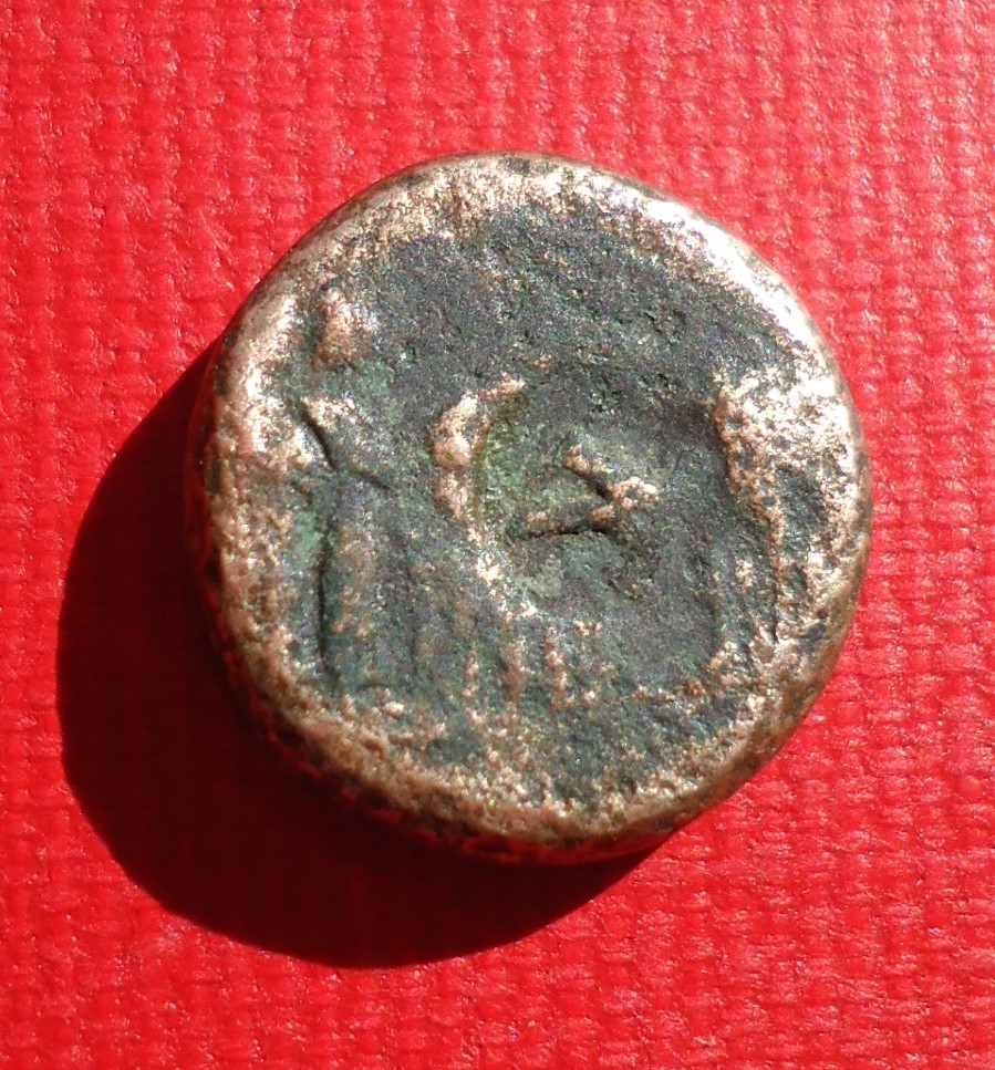 Augustus Philipp. Aug 2018 (2 AVG) (2).JPG