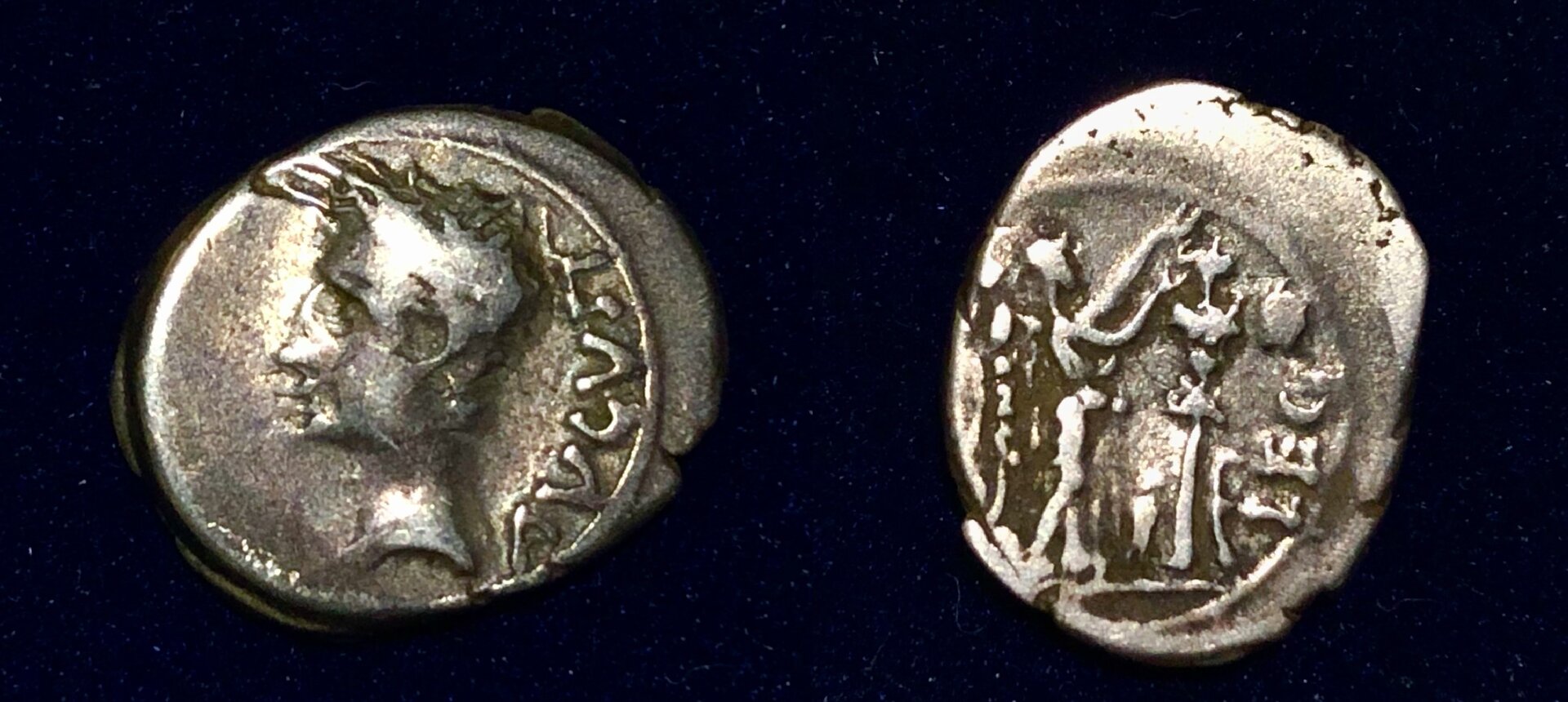 Augustus q.jpg