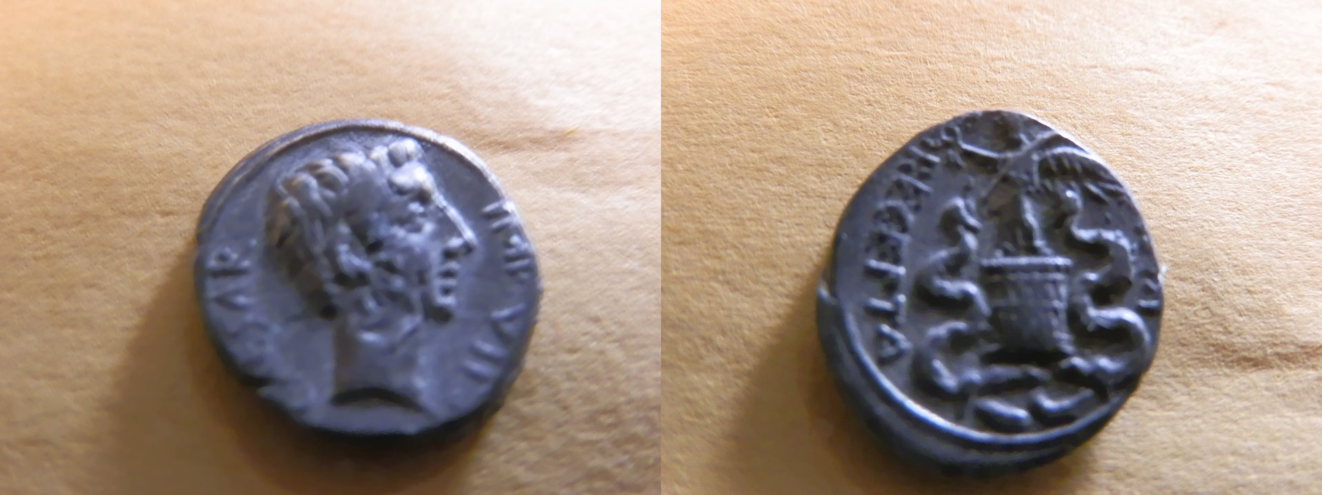 Augustus Q small.jpeg