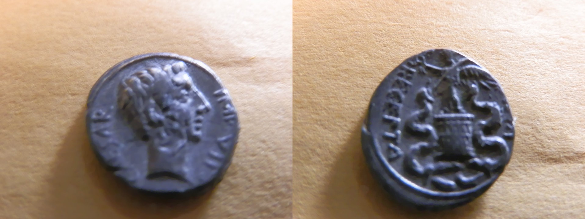 Augustus Q small.jpeg