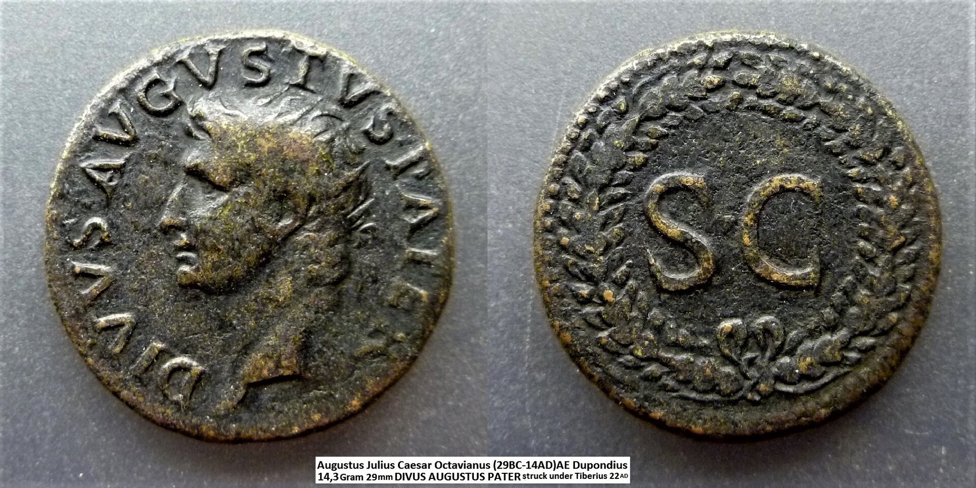 Augustus S-C.jpg