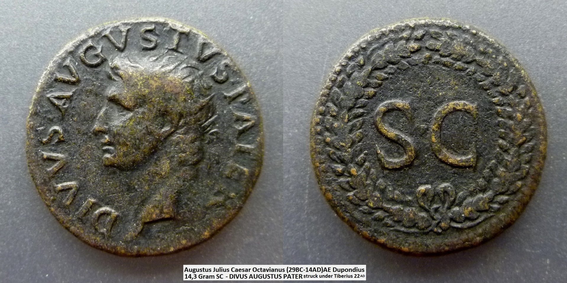 Augustus S-C.jpg