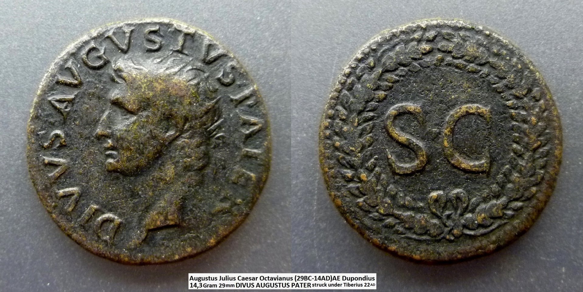 Augustus S-C.jpg