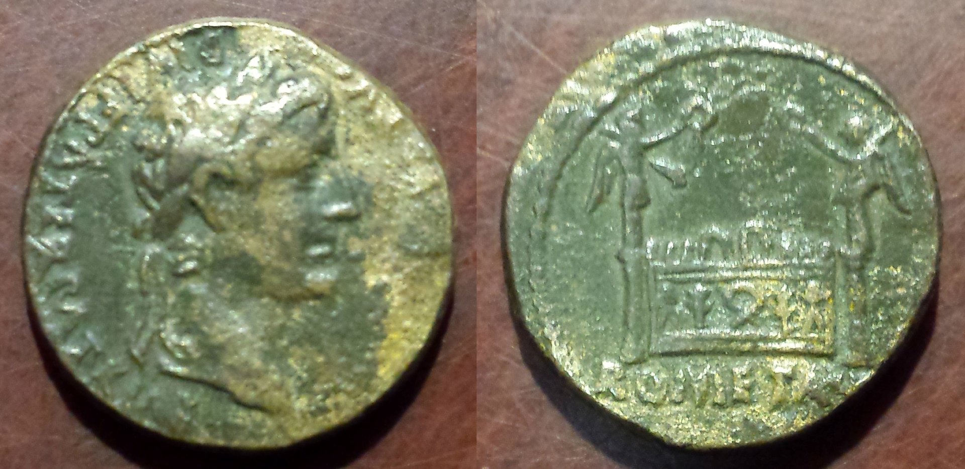 Augustus semis.jpg