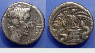 Augustus1.jpg