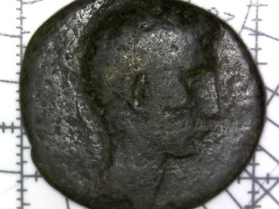 Augustus11.jpg
