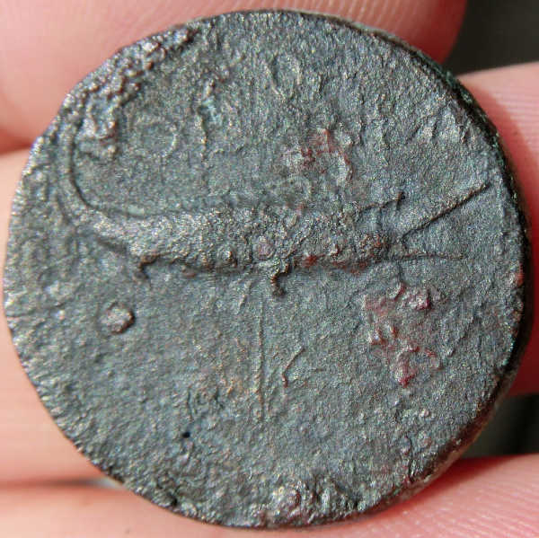 Augustus17 rev_opt.jpg