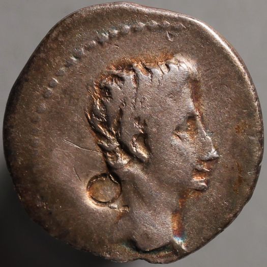 AugustusCapricornO.jpg