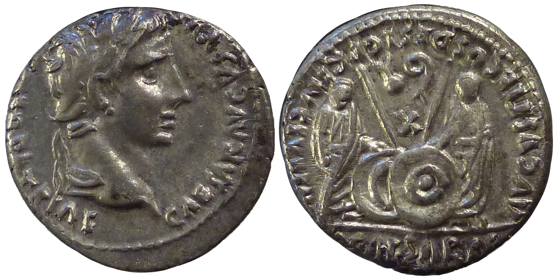 AugustusCLX.jpg