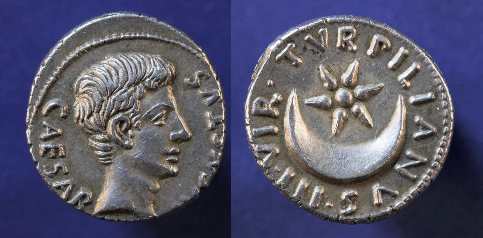augustusd52.JPG