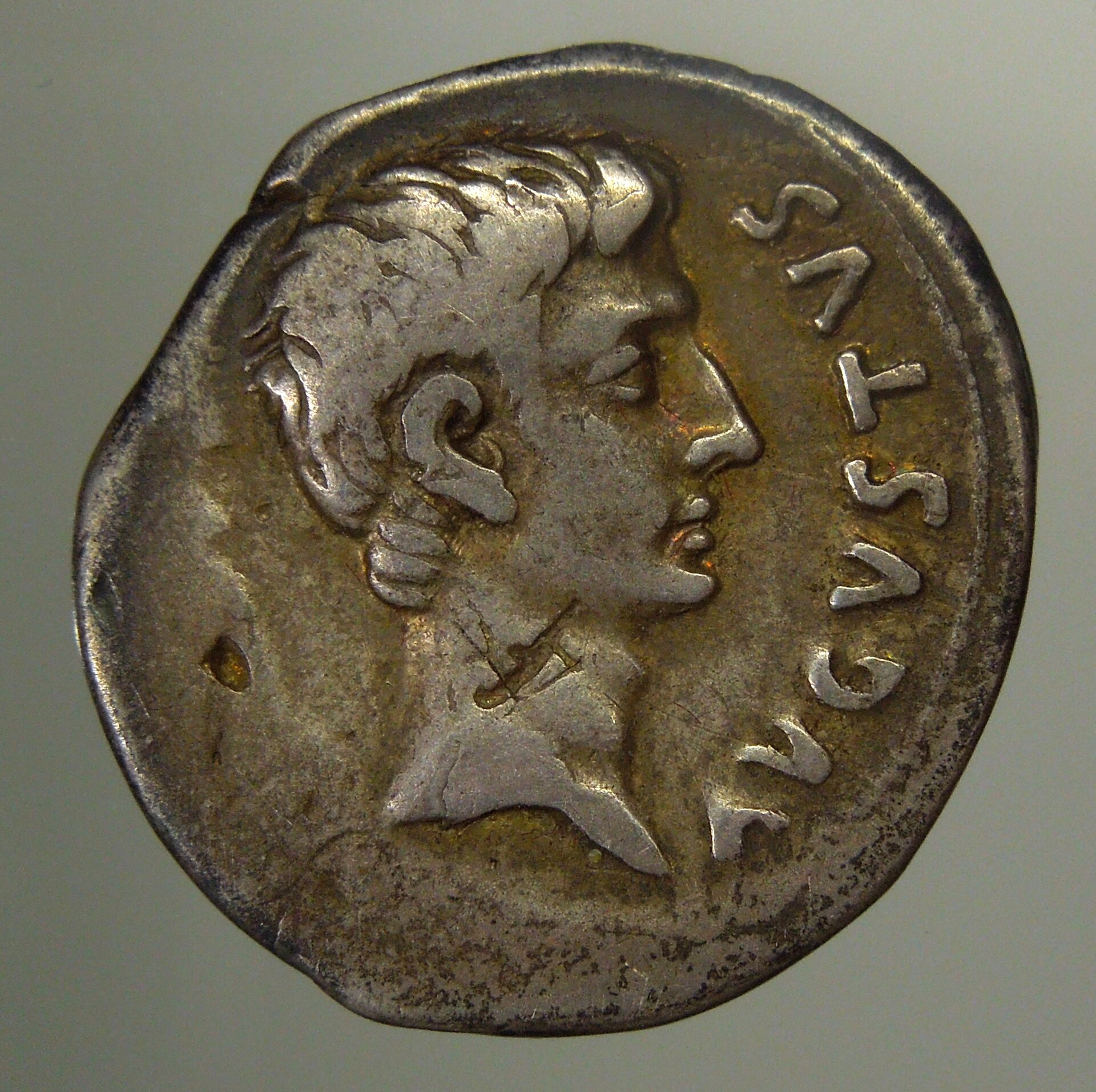 AUGUSTUSFLOWERA.JPG
