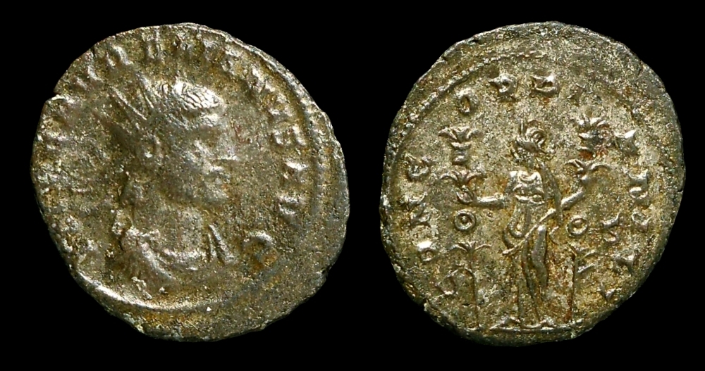 aurelian (2).jpg