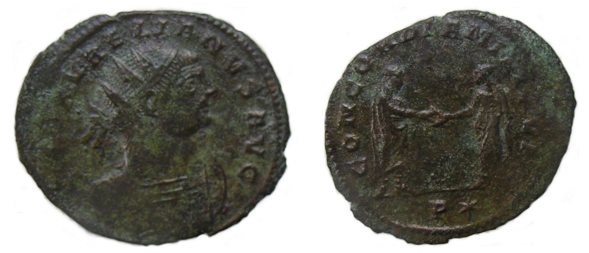 aurelian-2-reshoot.jpg