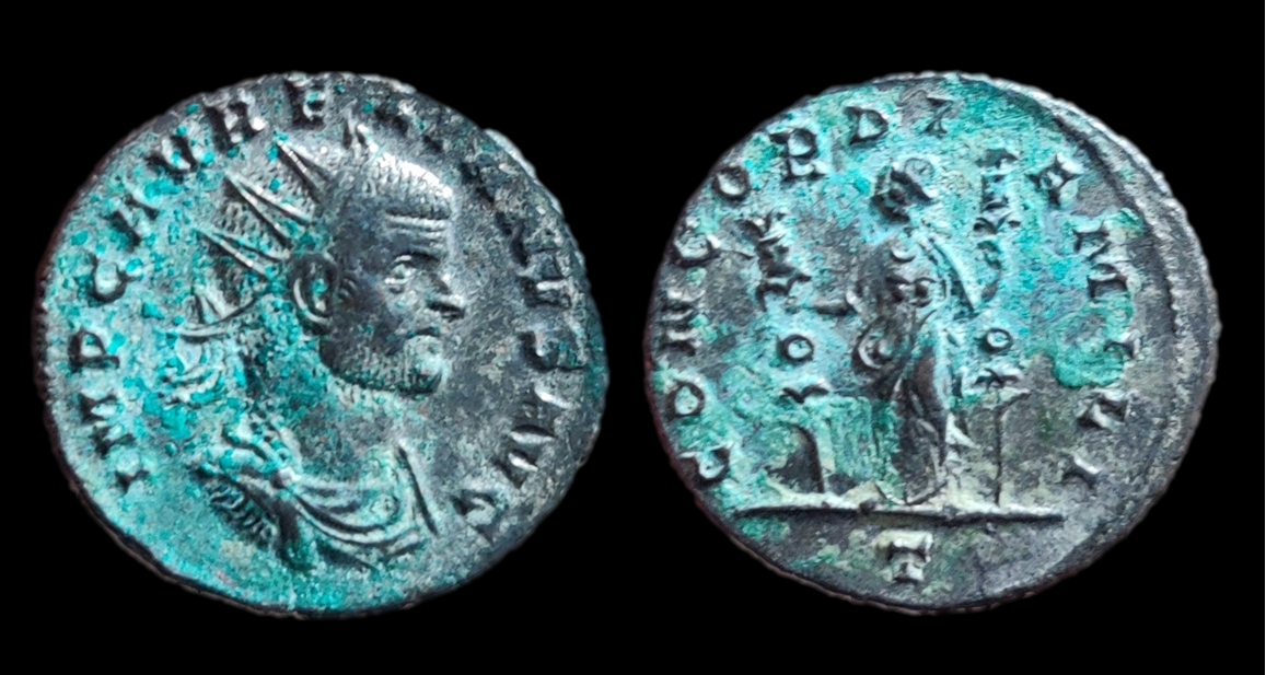 aurelian concordia mili t.png