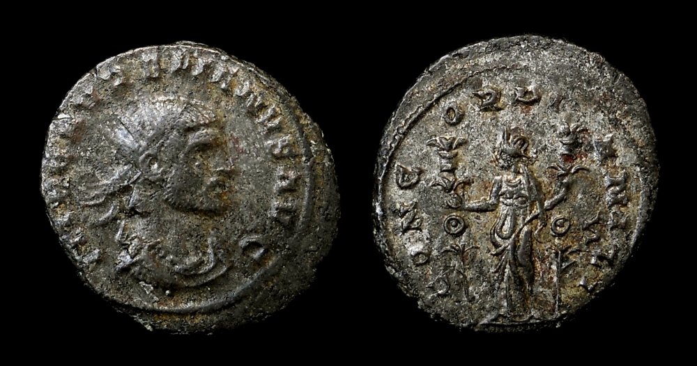 aurelian.jpg